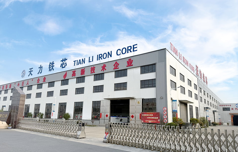 Taizhou Tianli Eisenkernherstellung Co., Ltd.