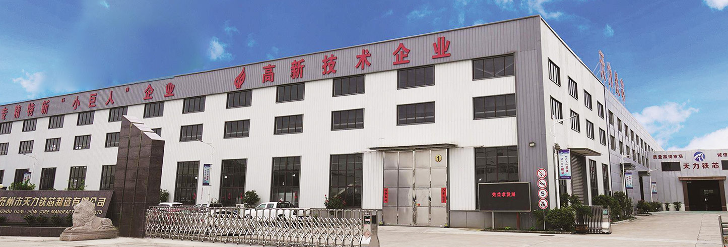 Taizhou Tianli Eisenkernherstellung Co., Ltd.