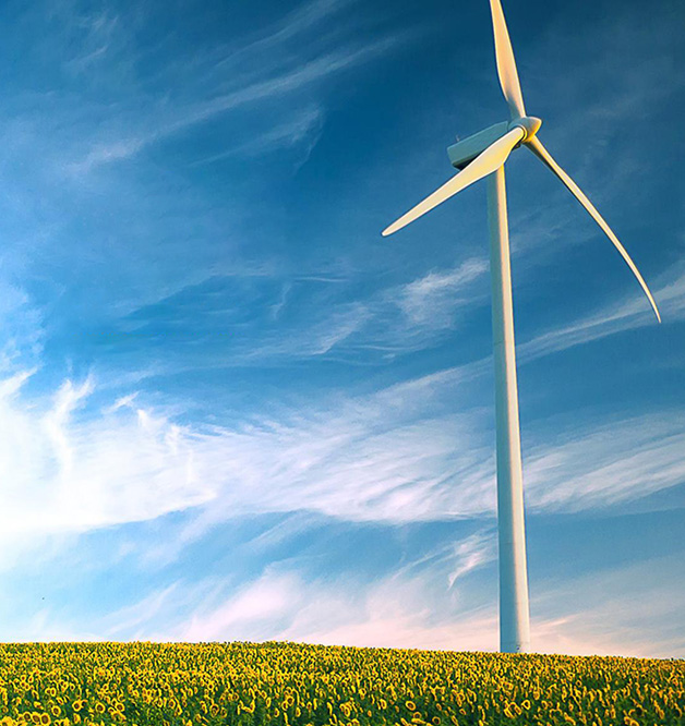 Taizhou Tianli Eisenkernherstellung Co., Ltd.