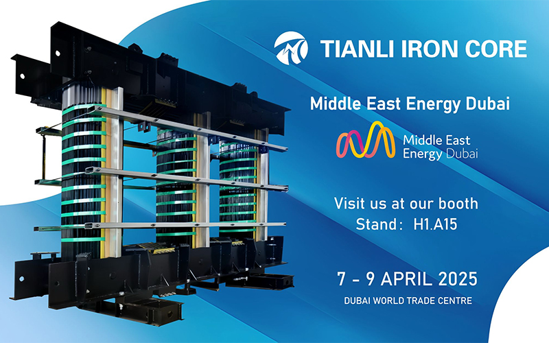 Taizhou Tianli Eisenkernherstellung Co., Ltd.