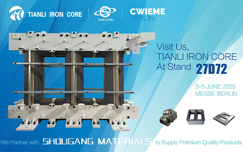 Taizhou Tianli Eisenkernherstellung Co., Ltd.